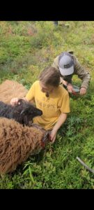 Screenshot_20220813-181646_Gallery