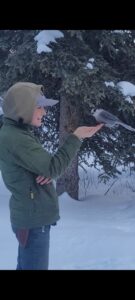 Screenshot_20221208-074742_Gallery